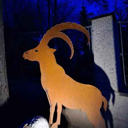 Steinbock Appartement