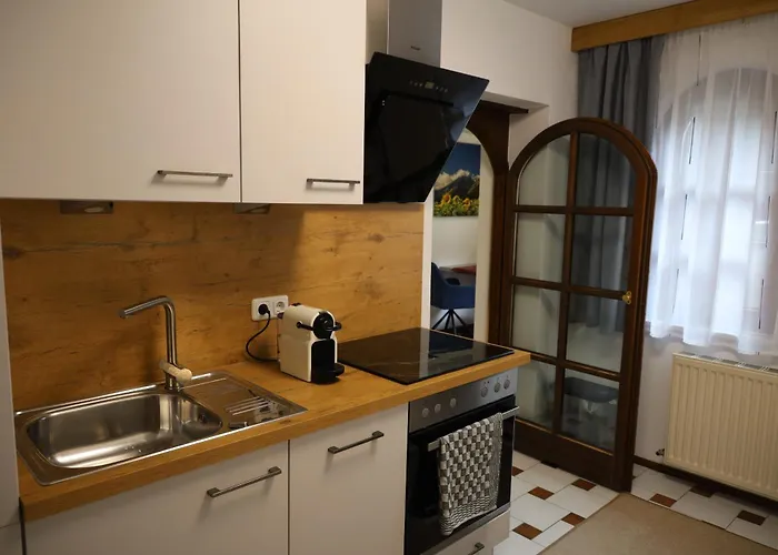 Steinbock Apartamento *