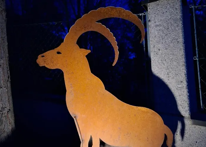 Steinbock Apartamento